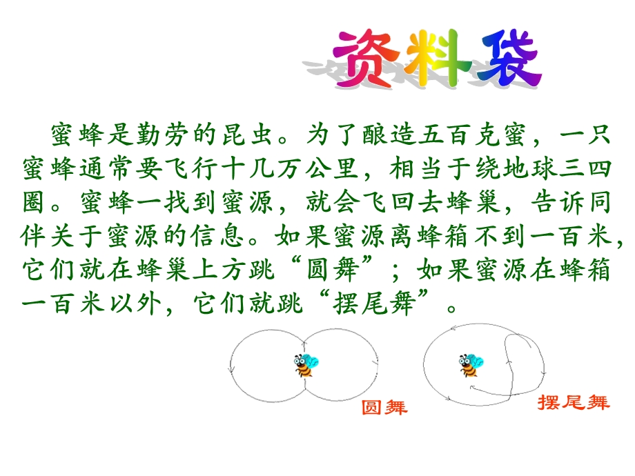 《蜜蜂》第一课时PPT课件.ppt_第3页