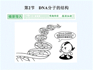 [新课标人教版]生物必修二：DNA分子的结构ppt课件.ppt