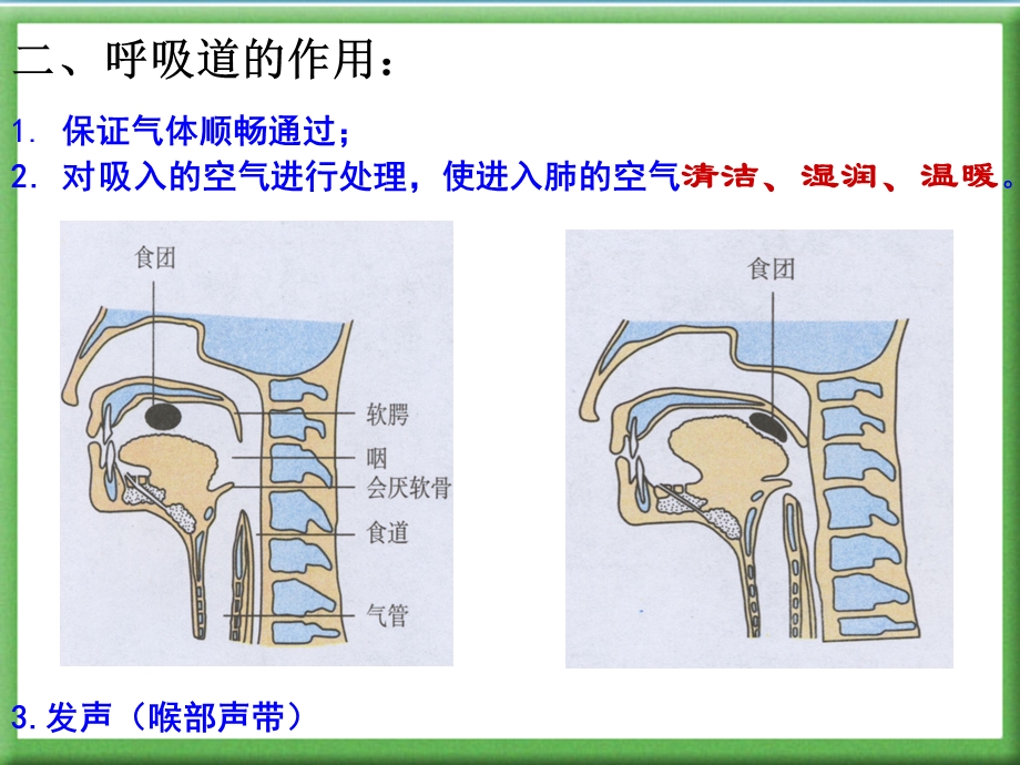 《人体的呼吸》复习用ppt课件用.ppt_第3页