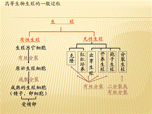 DNA是主要的遗传物质(教学ppt课件).ppt