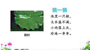 【部编】新人教版一年级语文下册13 荷叶圆圆ppt教学课件.pptx