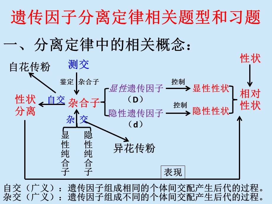 B孟德尔的豌豆杂交实验一习题和题型ppt课件.pptx_第3页