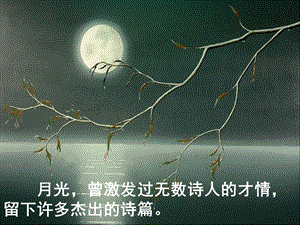 《记承天寺夜游》完美版ppt课件.ppt