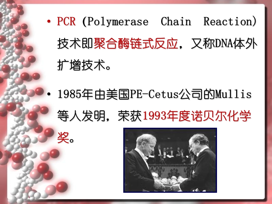 PCR、引物设计及逆转录PCRppt课件.ppt_第3页