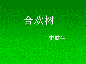 《合欢树》经典ppt课件.ppt