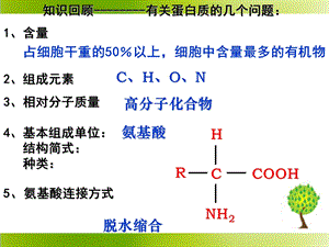 《血红蛋白的提取和分离》ppt课件.ppt