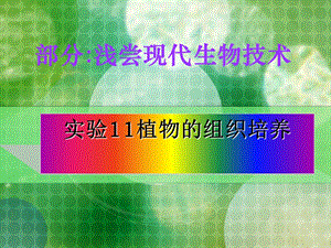 《植物的组织培养》PPT课件.ppt