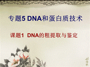 DNA的粗提取与鉴定使用ppt课件.ppt