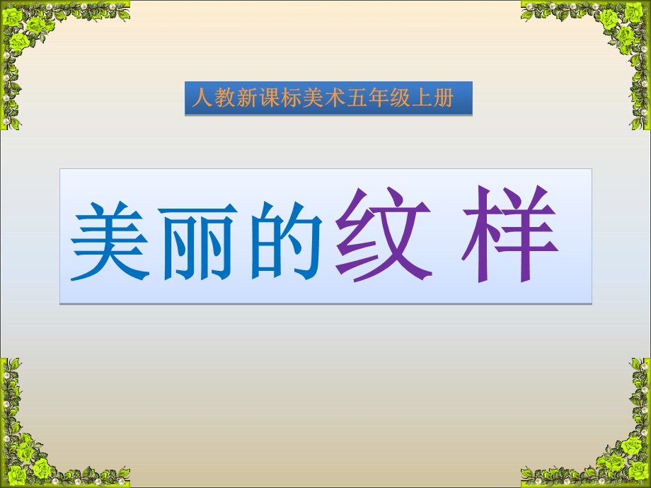 《美丽的纹样》ppt课件.ppt_第1页