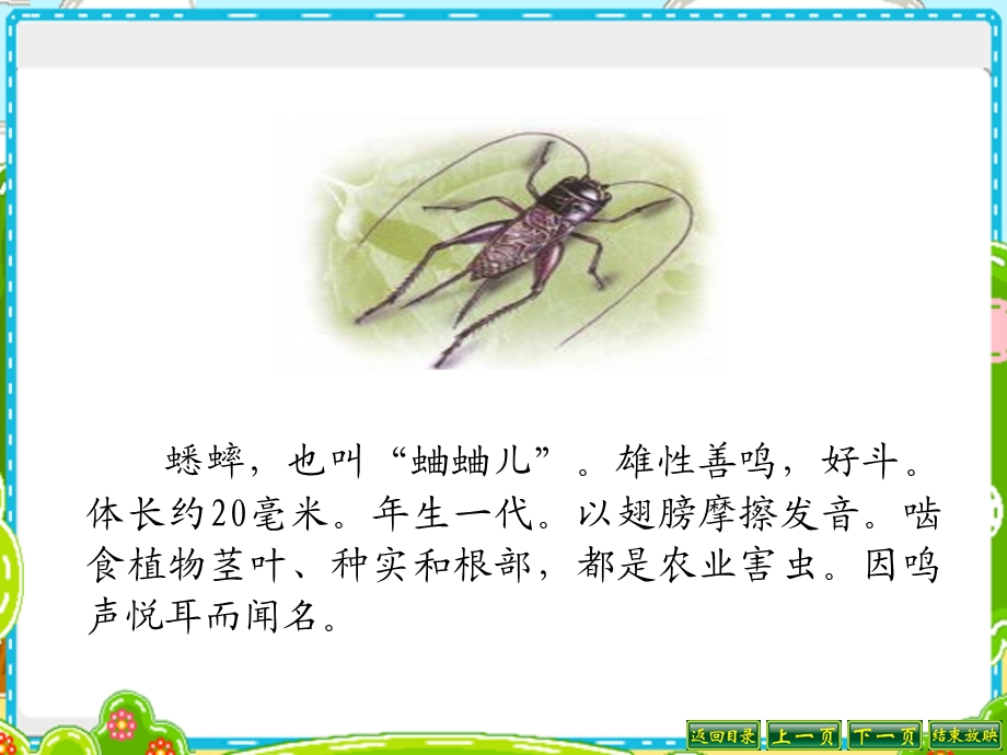 《表里的生物》ppt课件.ppt_第3页