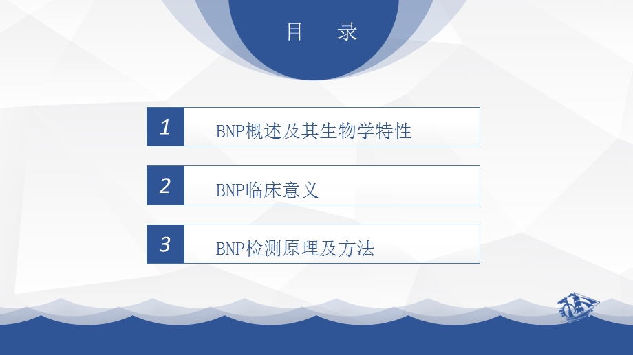 BNP概述检测原理及临床意义ppt课件.pptx_第2页