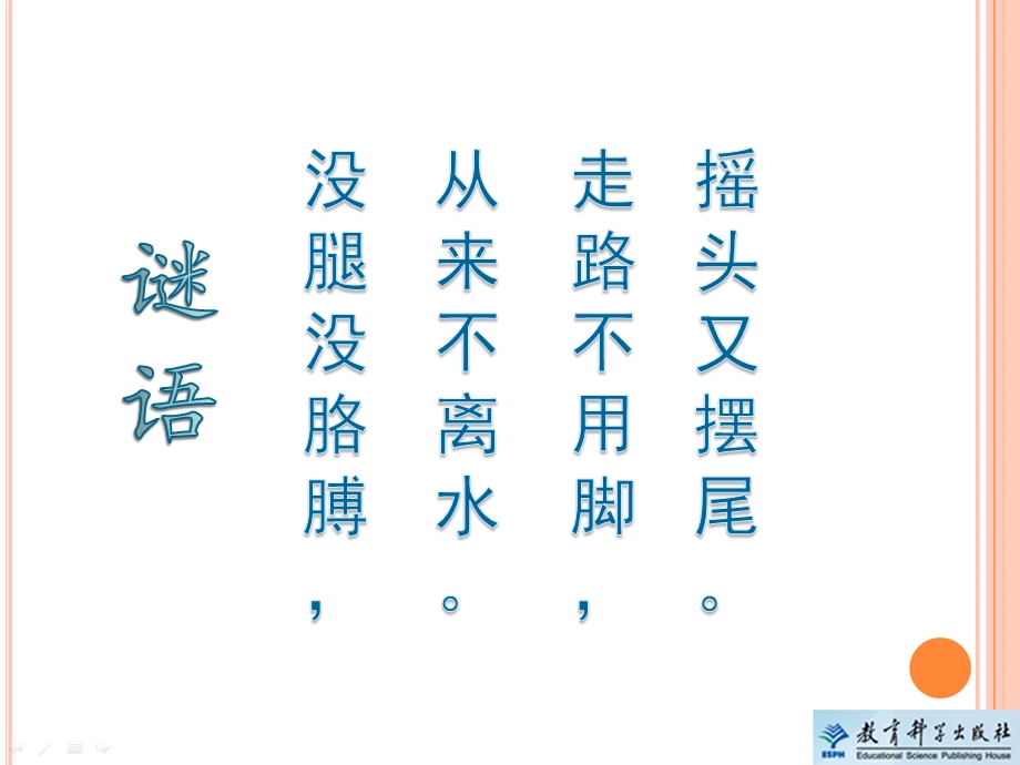 一年级科学下册《观察鱼》教学ppt课件.pptx_第2页