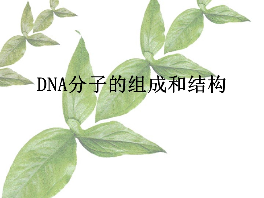 DNA分子组成及结构ppt课件.ppt_第1页