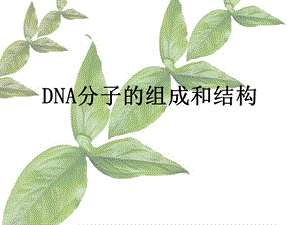 DNA分子组成及结构ppt课件.ppt