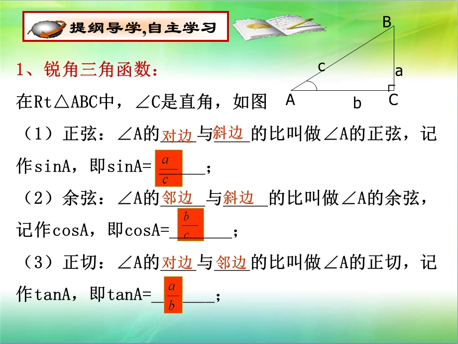 《直角三角形的边角关系》专题复习ppt课件.ppt_第3页