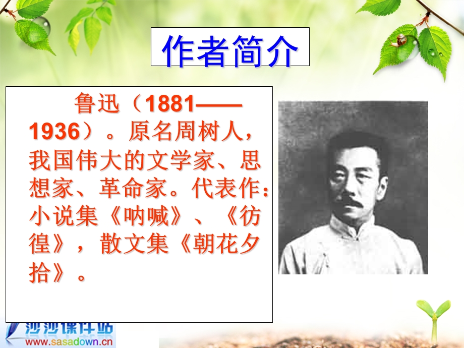 《阿长与山海经》修改实用课件.ppt_第2页