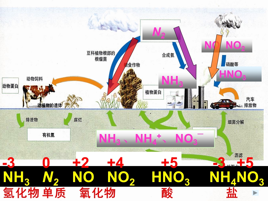 《氮的循环》优质课ppt课件.ppt_第3页