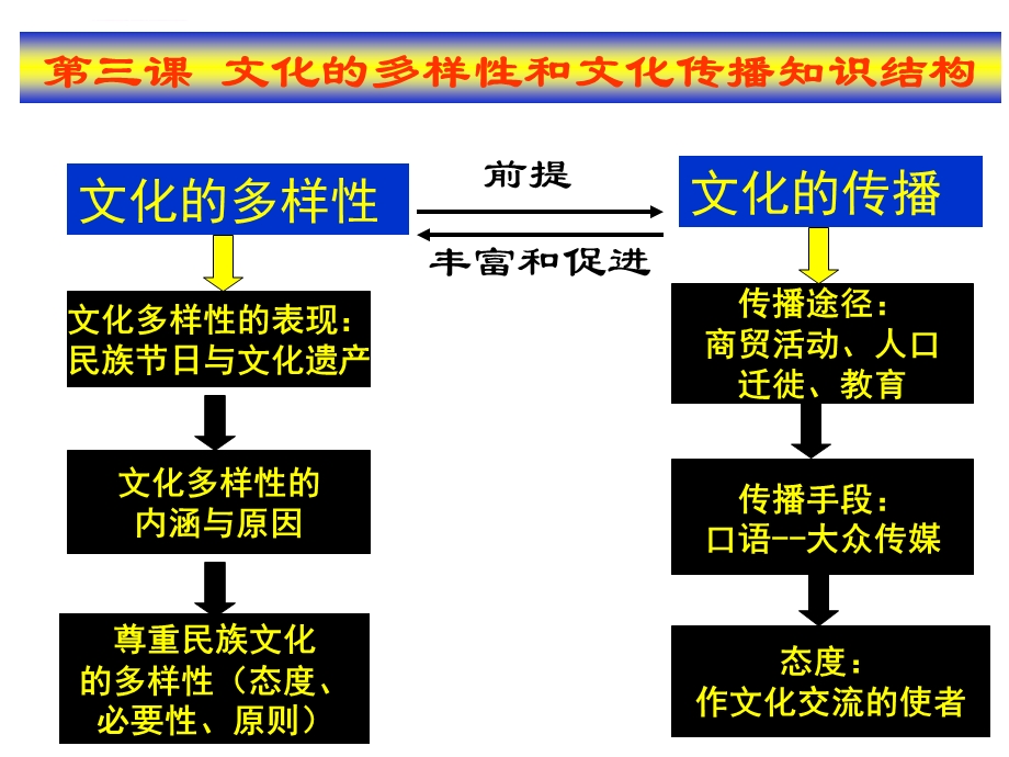 《世界文化的多样性》ppt课件.ppt_第2页