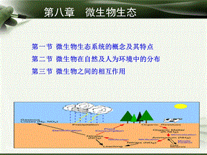 《微生物生态》PPT课件.ppt