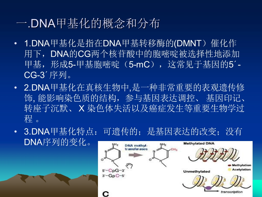 DNA甲基化对转录的影响概述ppt课件.ppt_第3页