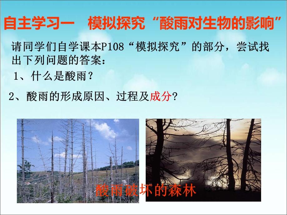 《探究环境污染对生物的影响》ppt课件.ppt_第3页