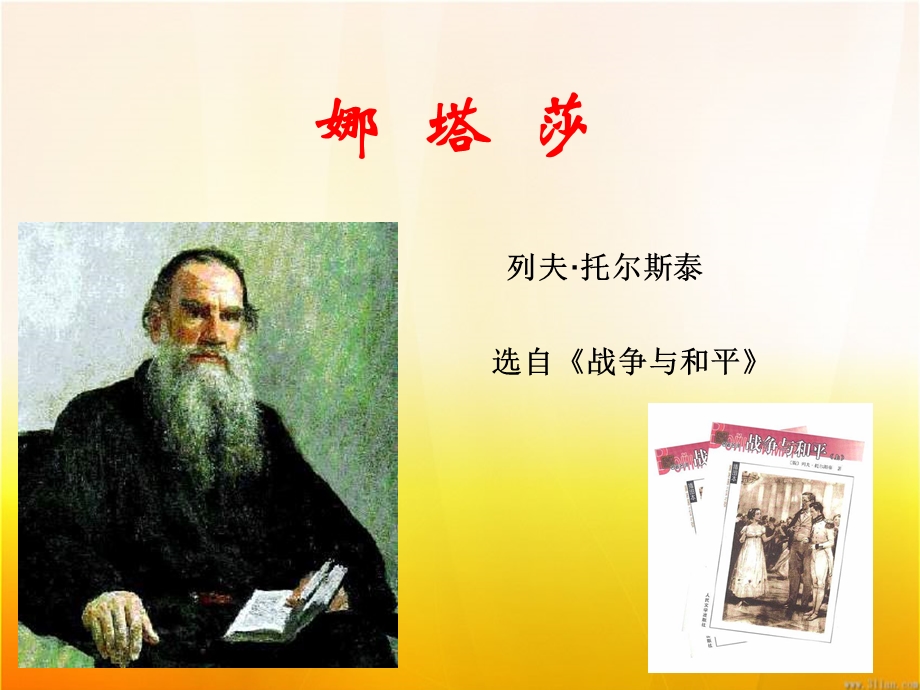 《娜塔莎》优秀ppt课件.ppt_第2页