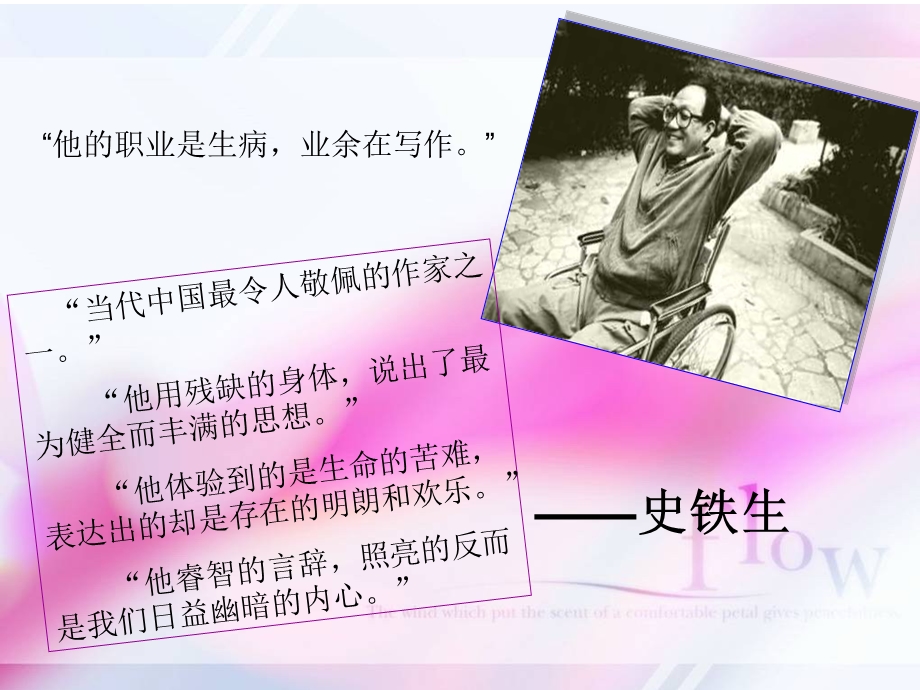 《合欢树》分析ppt课件.ppt_第3页