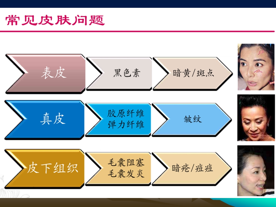 《皮肤的结构》PPT课件.ppt_第2页