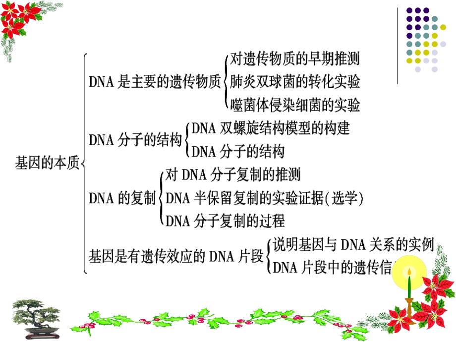 《基因的本质》复习精品ppt课件.ppt_第2页