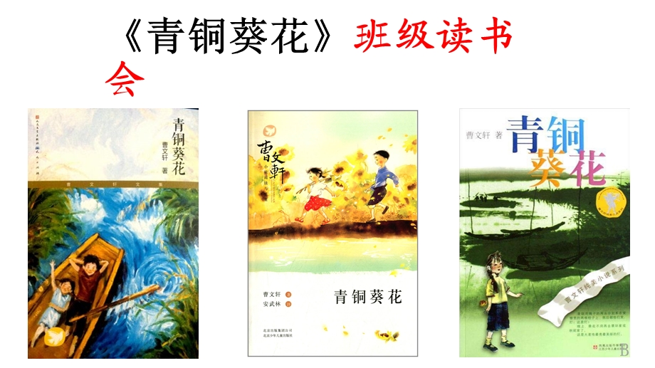 《青铜葵花》班级读书会ppt课件.ppt_第2页