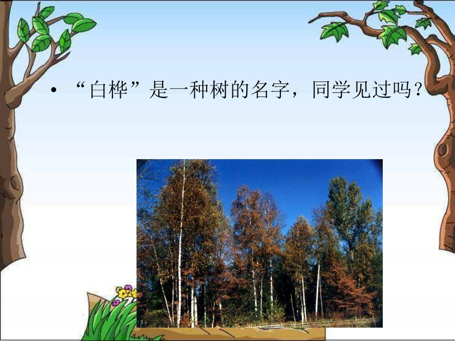 《白桦》ppt课件.ppt_第3页