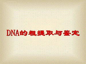 DNA的粗提取与鉴定(优秀ppt课件).ppt