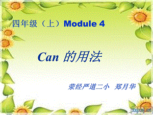 can 的用法ppt课件.ppt