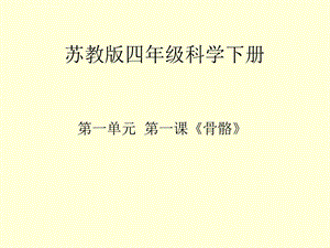 《骨骼》教学ppt课件.ppt