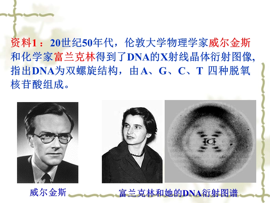 DNA的分子结构和特点 ppt课件.ppt_第2页