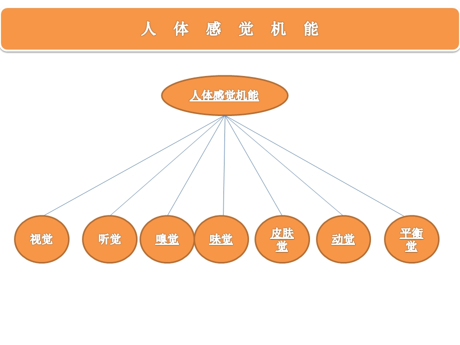 人体感觉机能ppt课件.pptx_第1页