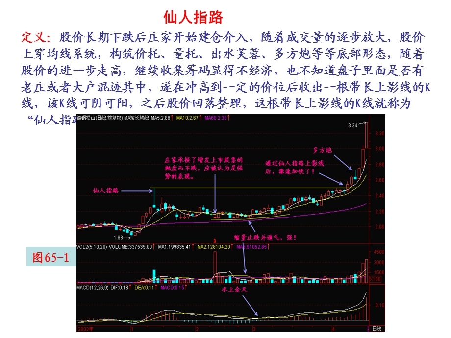 仙人指路——周五模板ppt课件.ppt_第1页