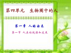 人的由来 ppt课件.ppt