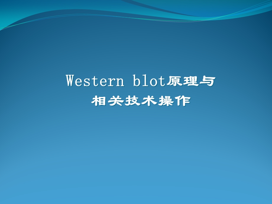 免疫印迹法ppt课件.ppt_第1页