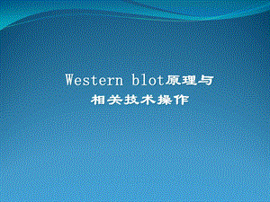 免疫印迹法ppt课件.ppt