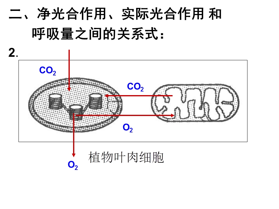 光合作用计算题ppt课件.ppt_第3页