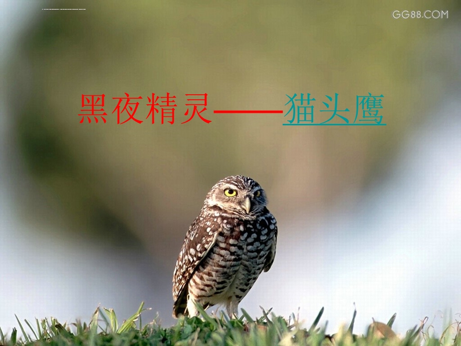 儿童画ppt课件.ppt_第2页