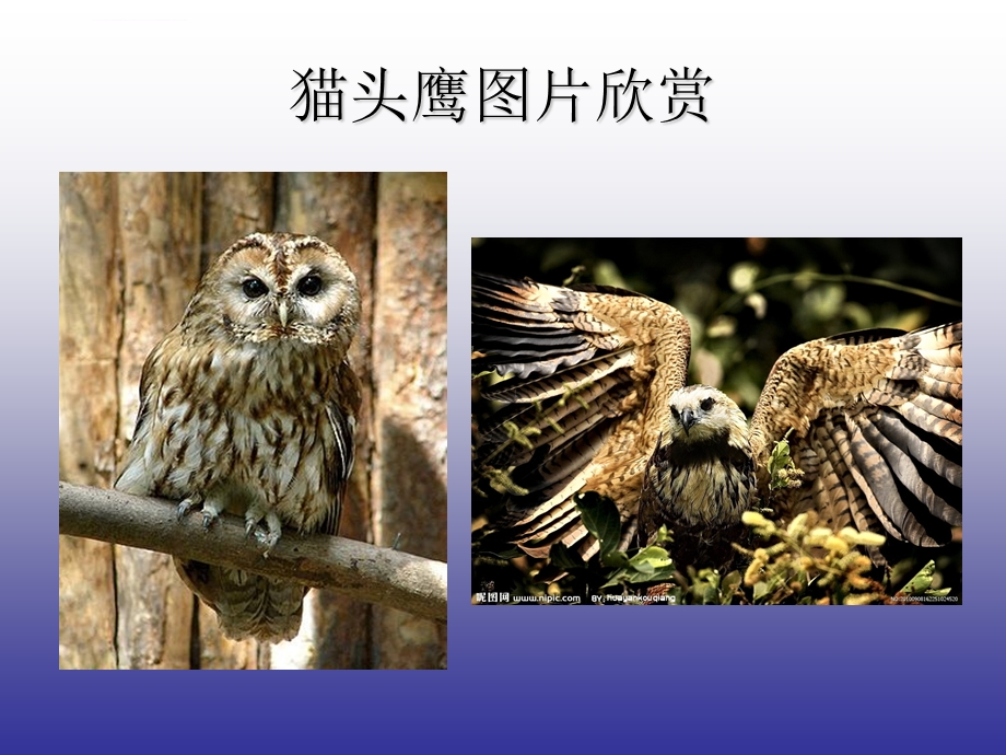 儿童画ppt课件.ppt_第3页