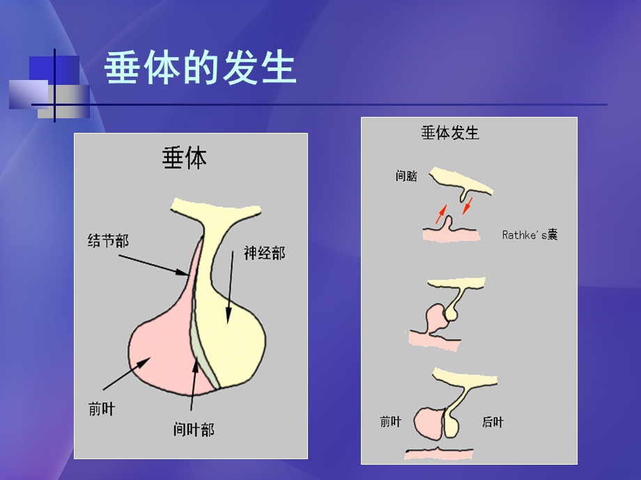 儿童鞍区常见肿瘤的影像学诊断高培毅ppt课件.ppt_第3页