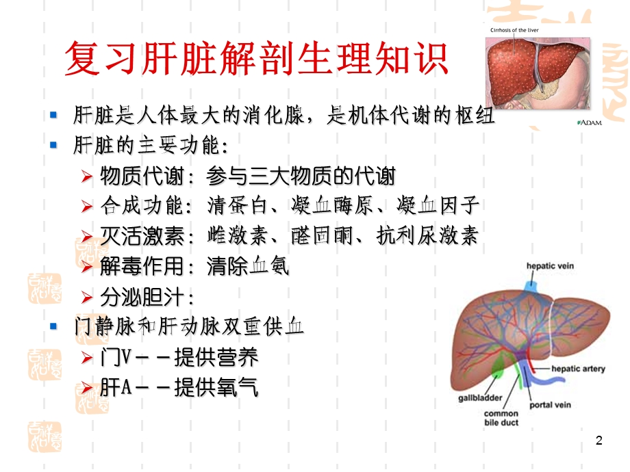 内科护理学 肝硬化病人的护理ppt课件.ppt_第2页