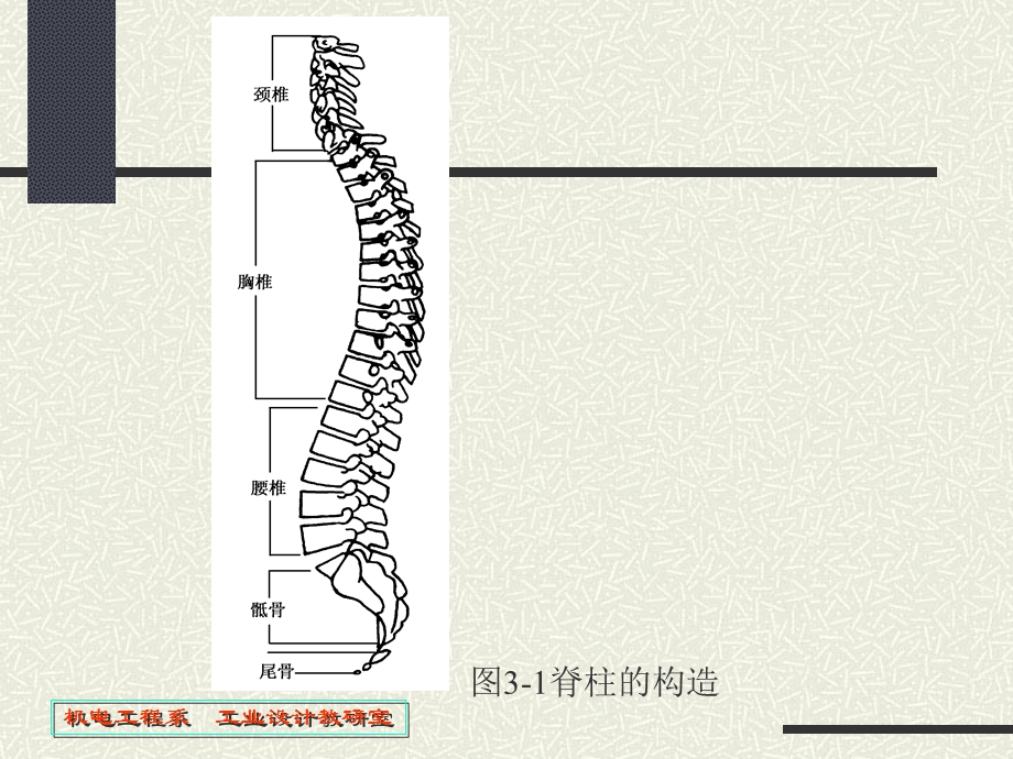 人机桌椅设计ppt课件.ppt_第3页