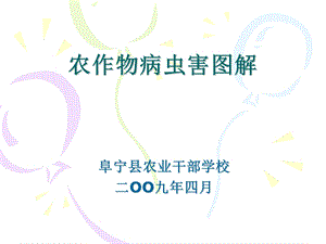 农作物病虫害图解ppt课件.ppt