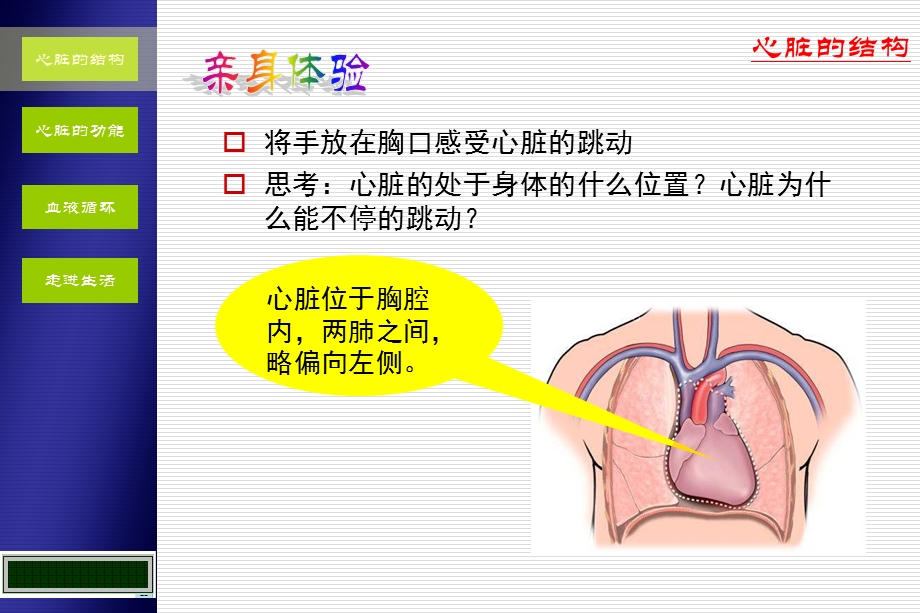 人教版七年级生物下册《科学家的故事血液循环的发现》公开课ppt课件.ppt_第2页