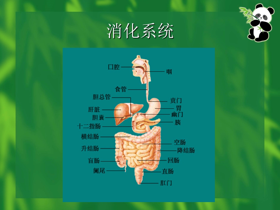 上消化道大出血护理ppt课件.ppt_第1页