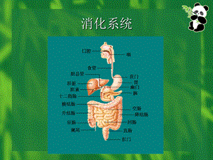 上消化道大出血护理ppt课件.ppt